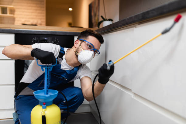 Best Mosquito Control Services  in Hartford, AL