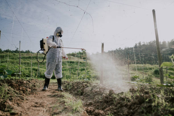 Pest Control Cost in Hartford, AL