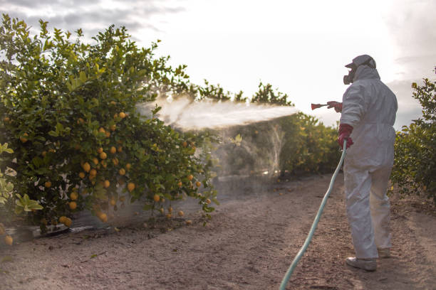 Best Insect Control  in Hartford, AL