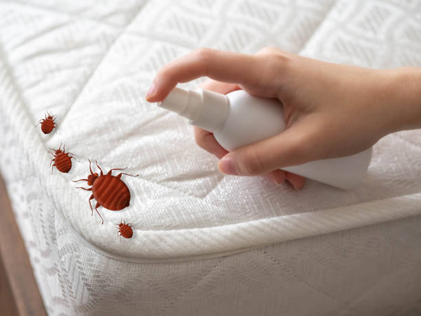 Best Termite Control Services  in Hartford, AL