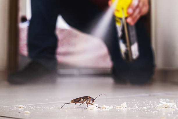 Best Affordable Pest Control Services  in Hartford, AL