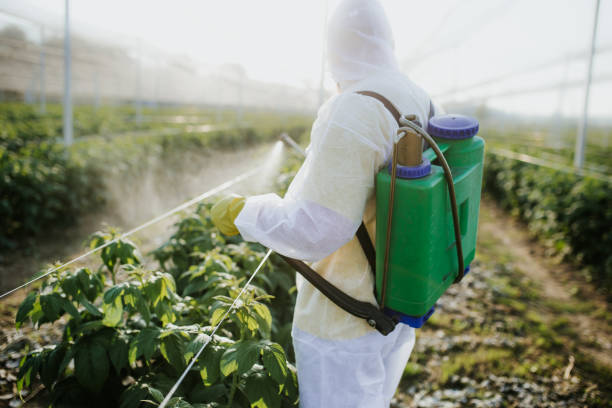 Best Exterminator Services  in Hartford, AL